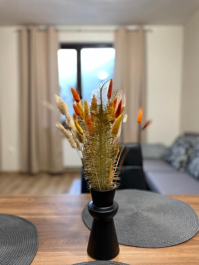 Apartment E23 Borovets Gardens Zewnętrze zdjęcie